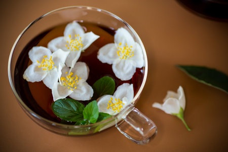 Green tea with jasmine in a glass teapot on a brown background.の写真素材