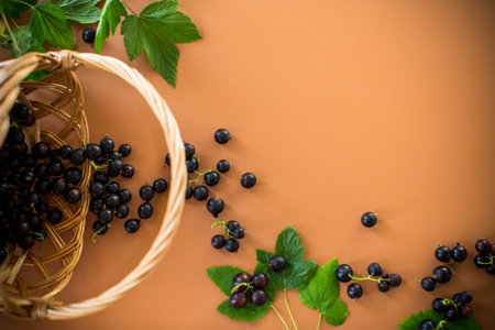 Blackcurrant and berries nearby on brown background.の写真素材