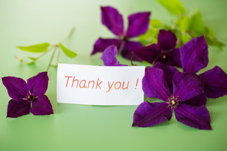 Bright purple clematis on natural green background.の写真素材