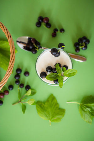 Homemade yogurt with blackcurrant on green background.の写真素材