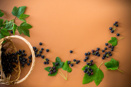 Ripe blackcurrant with leaves on brown background.の写真素材