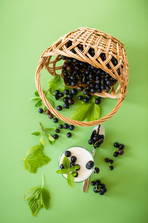 Homemade yogurt with blackcurrant on green background.の写真素材