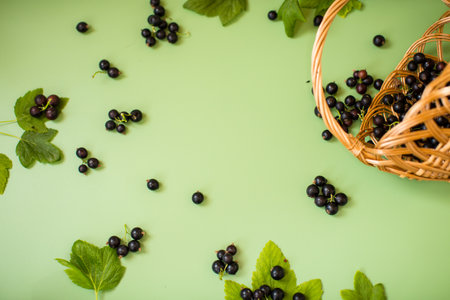 Scattered currant berries next to a basket on a green background.の写真素材