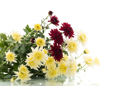 autumn bouquet with red and yellow chrysanthemums.の写真素材