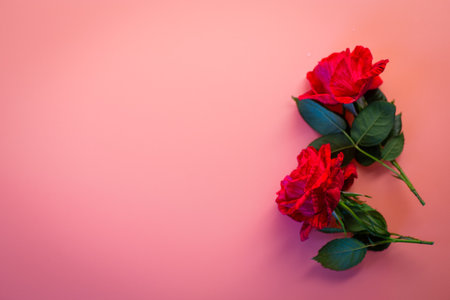 Top view of red roses close-up.の写真素材