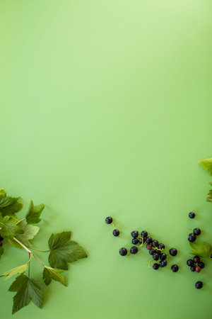 Natural currant berries scattered on a green background.