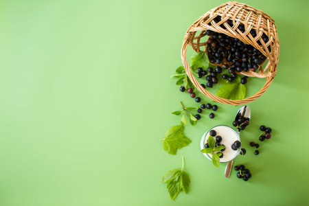 Creamy blackcurrant dessert in minimalism.の写真素材