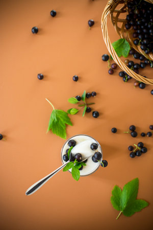 Homemade yogurt with blackcurrant berries, isolated on brown background.の写真素材