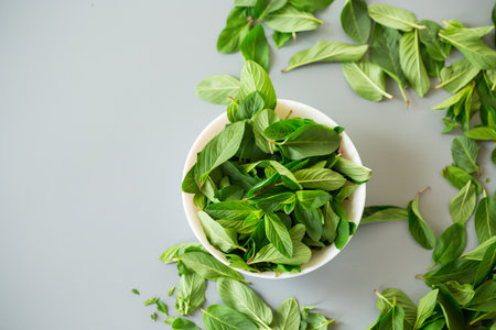 Top view of green mint in white bowl.の写真素材
