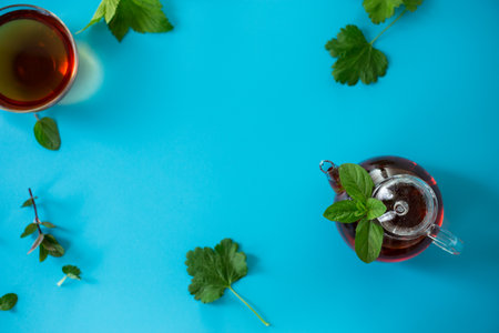 Green tea from current and mint leaves in a glass teapot.の写真素材