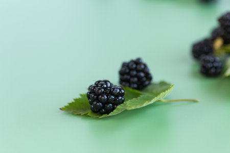 Natural blackberries close-up with leaves, top view.の写真素材