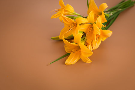 Minimal floral layout with natural warm mood.