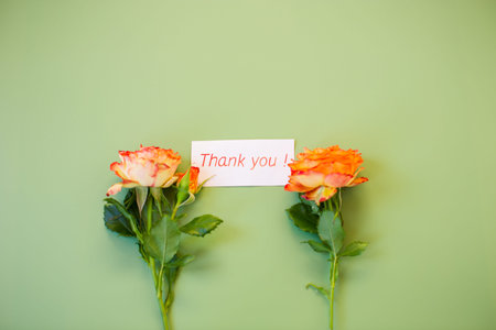 Bright rosebud with delicate petals on pastel green background.