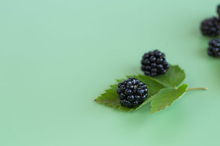 Fresh blackberries with reflection, top view.