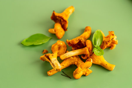 fresh picked chanterelle mushrooms close-up.の写真素材