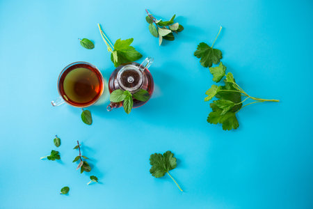 Green tea with current leaves and mint in glass teapot and cup on blue background. Top view.
