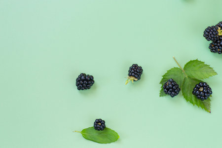 Ripe blackberries with green leaves on a green background.