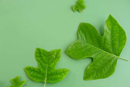 Bright green leaves create contrast on the green surface.