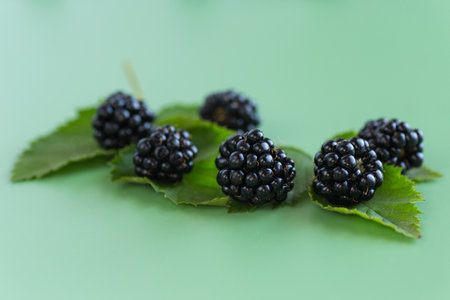 Close-up natural blackberries with leaves on a green background.の写真素材