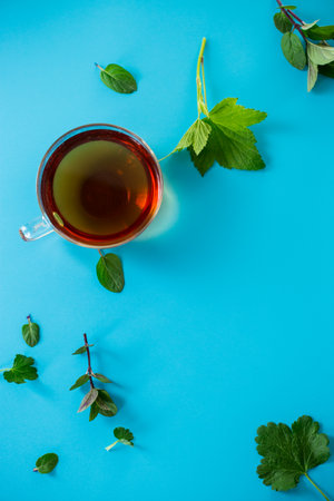 Top view of a cup of tea from mint and current leaves.の写真素材