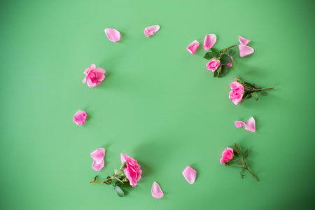 Top view of branches of roses on a green background.の写真素材