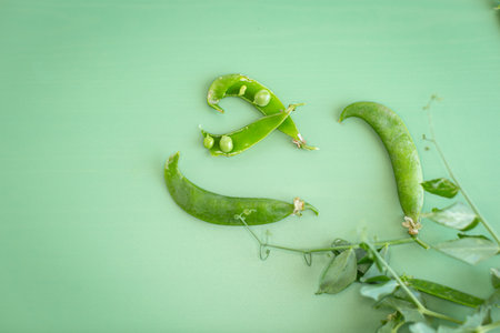 Summer pea harvest with natural green background.の写真素材