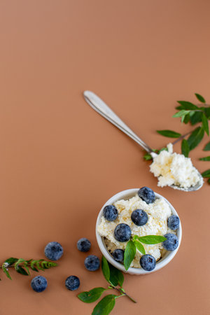 Homemade cottage cheese snack with vitamin blueberries in a white bowl.の写真素材