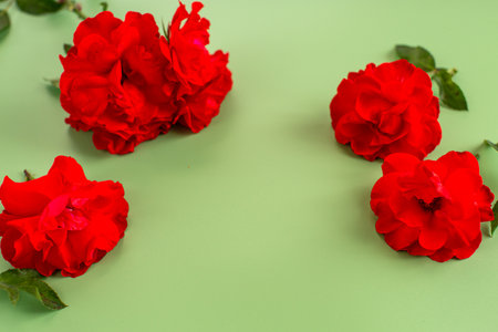Red roses with textured petals on a green background.の写真素材