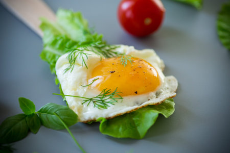 Appetizing fried egg with greens on wooden spatula, on gray background.