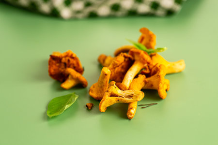fresh picked chanterelle mushrooms on a green background.の写真素材