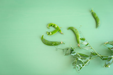 Summer pea harvest with natural green background.の写真素材