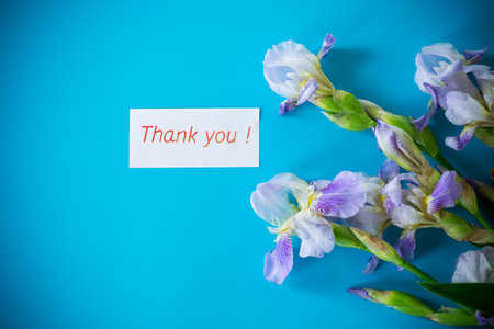 Delicate irises with long green leaves on a blue background.の写真素材