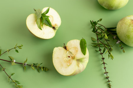 Green apples and fresh herbs on a minimalist background.の写真素材