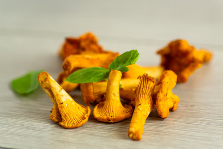 bowl with wild chanterelle mushrooms on a wooden table.の写真素材
