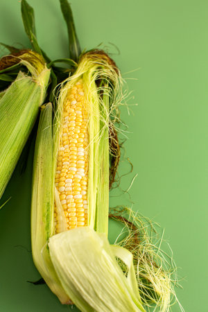 unhusked corn cob with fresh fibers and leaves.の写真素材