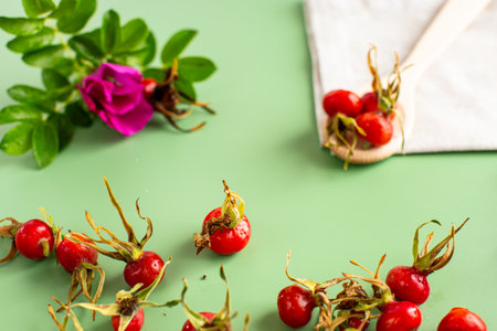 green background and harvest of red rose hips.の写真素材
