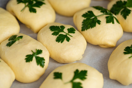 Homemade bakery buns rising on parchment paper with herbs.の写真素材