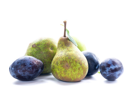 Pear and plum fruits from the autumn garden.の写真素材