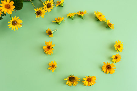 Decorative yellow blossoms composition isolated on light green.