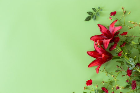 Bright petals of two red lilies with red roses on green background.の写真素材