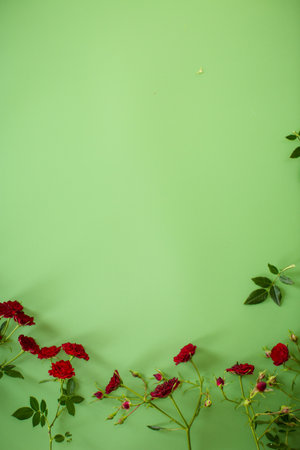 Top view of miniature red roses on green background.の写真素材