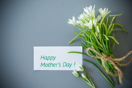 Natural white flowers on a gray background.