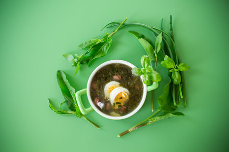 Traditional Ukrainian sorrel borscht with egg on green background.の写真素材