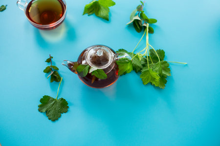 Green tea with current leaves and mint in glass teapot and cup on blue background. Top view.の写真素材