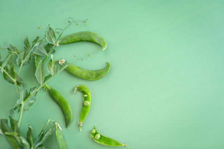 Ripe green peas in open pods on table.の写真素材