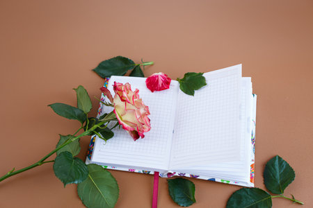 Tender flower laying gently in a diary.の写真素材