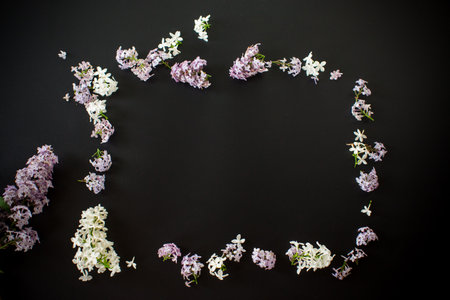 Floral frame of white and purple lilac on black background.の写真素材