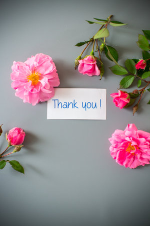 Pink petals and branches with buds with gratitude.の写真素材