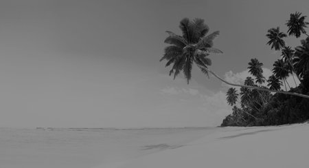Summer Beach Tropical Paradise Seascape Concept