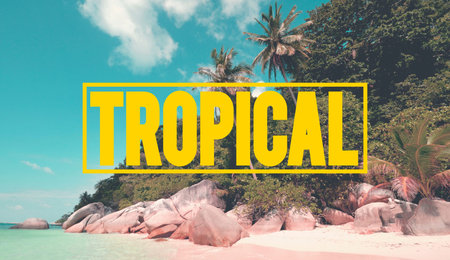 Tropical Island Beach Tranquil Scene Relax Concept